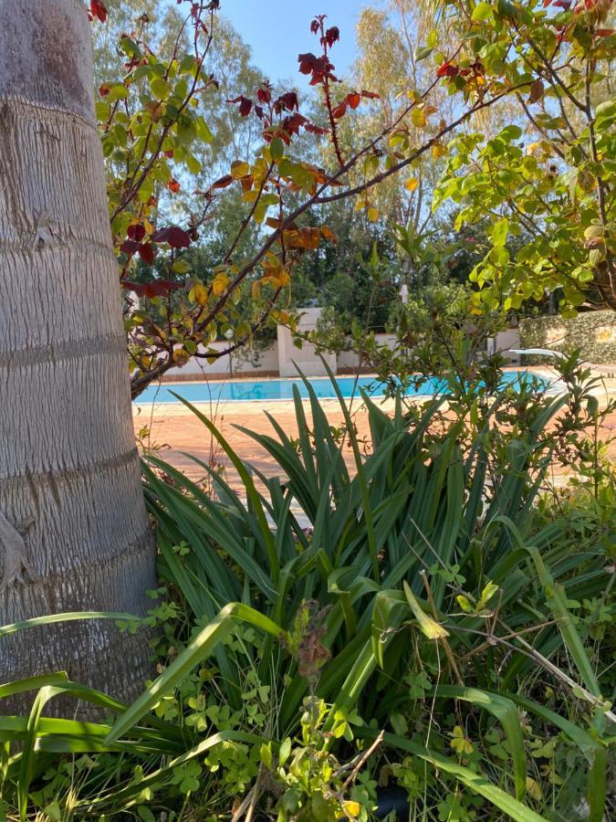Villa Rosemary Μαρσάλα Εξωτερικό φωτογραφία
