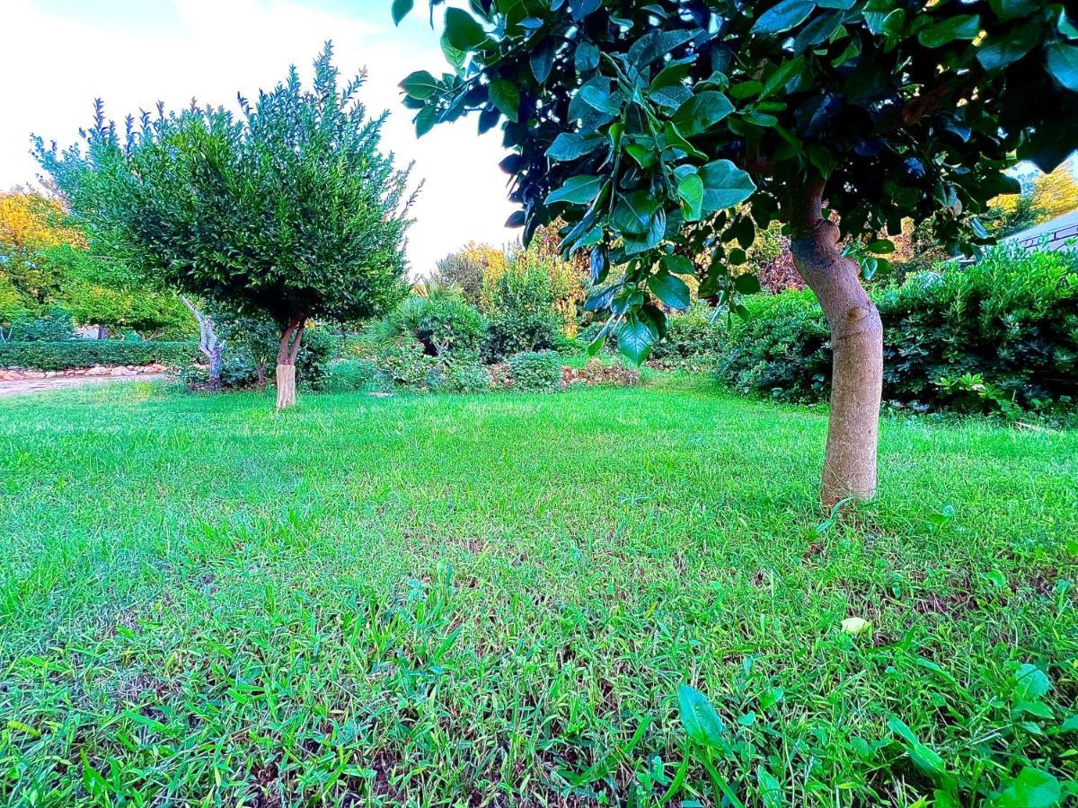 Villa Rosemary Μαρσάλα Εξωτερικό φωτογραφία
