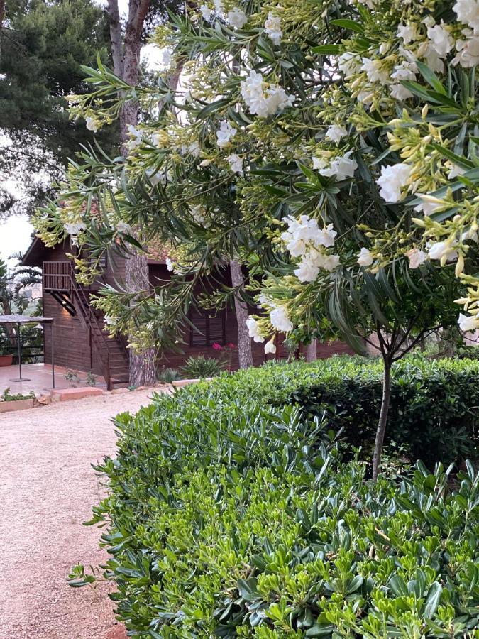 Villa Rosemary Μαρσάλα Εξωτερικό φωτογραφία