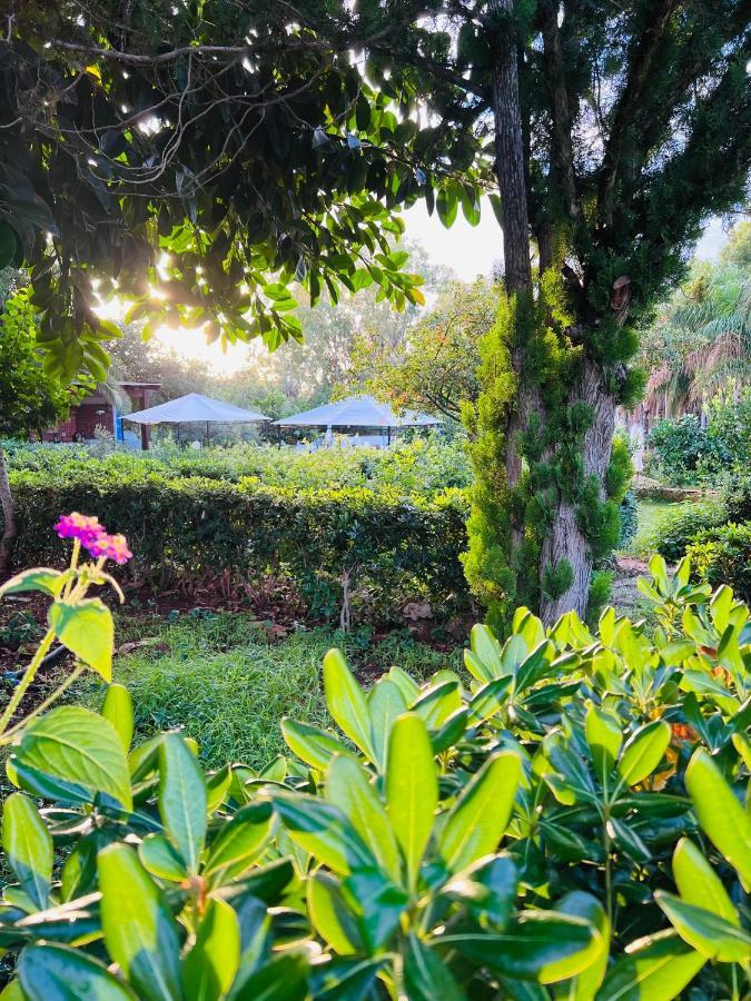 Villa Rosemary Μαρσάλα Εξωτερικό φωτογραφία